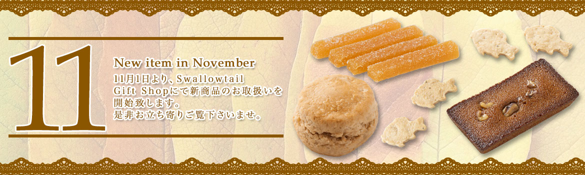 11月新商品発売のお知らせ