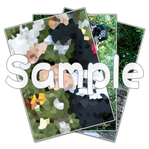 ブロマイドセット(伊織)