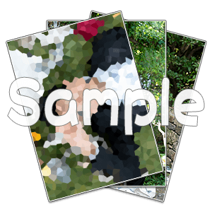 ブロマイドセット(隈川)