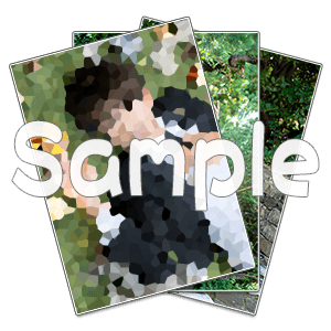 ブロマイドセット(能見)