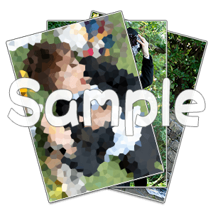 ブロマイドセット(影山)