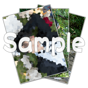 ブロマイドセット(古谷)