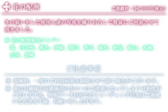 花の配剤（税込300円）