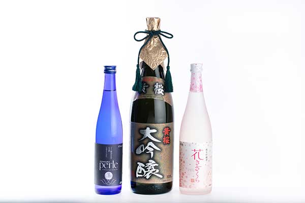 限定日本酒